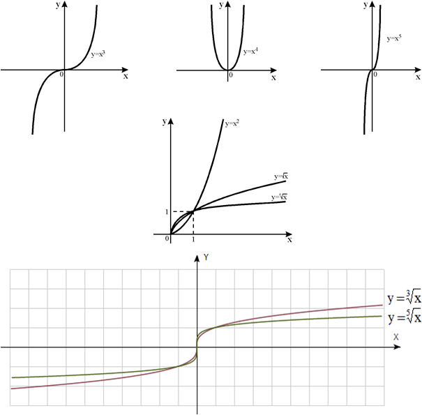 Power function graph
